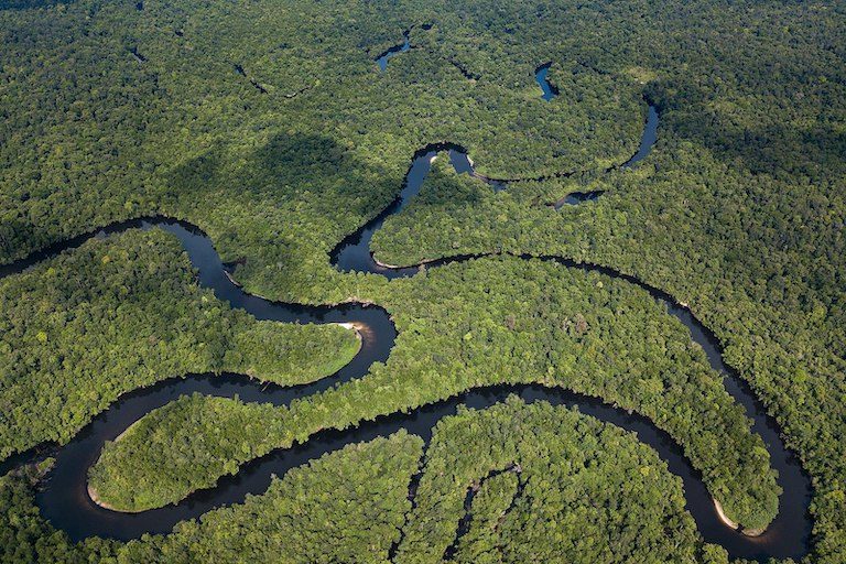 Alleged Government-linked Land Grabs Threaten Cambodia’s Cardamom ...