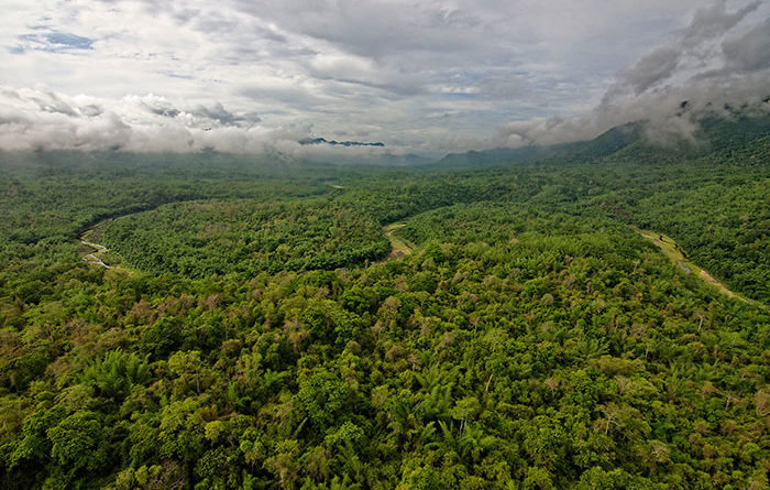 Myanmar’s Salween Peace Park — A Place for All Living Things | Asia ...